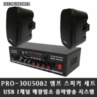 씨투바이코리아 PRO-30U50B2 매장 USB앰프 스피커