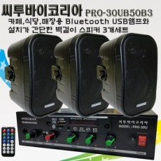 씨투바이코리아 PRO-30UB50B3 매장용 블루투스 USB앰프와 벽걸이스피커3개세트