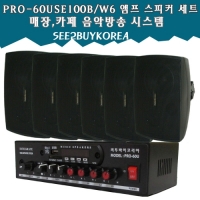 씨투바이코리아 PRO-6OUSE100B/W6 매장카페 음악방송시스템