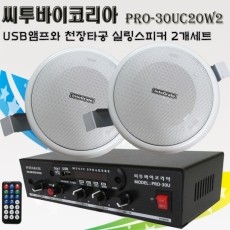 씨투바이코리아 PRO-30UC20W2 USB매장용 앰프와 실링스피커2개
